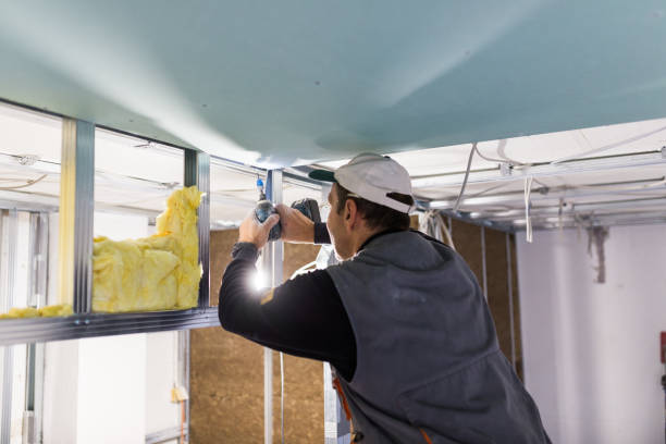 Best Geographic-Specific Insulation Services in Heber Overgaard, AZ