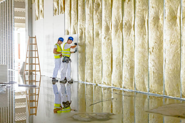 Best Spray Foam Insulation in Heber Overgaard, AZ